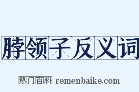 脖领子反义词是什么意思的图片